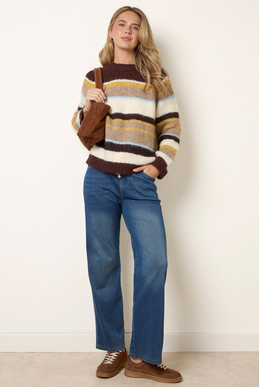 Striped Round Neck Knit Jumper WF5810BV030