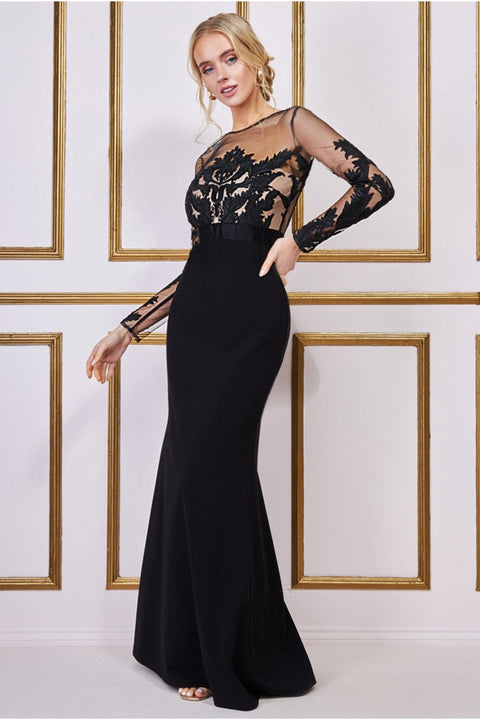 Embroidered Mesh & Scuba Maxi - Black DR3291