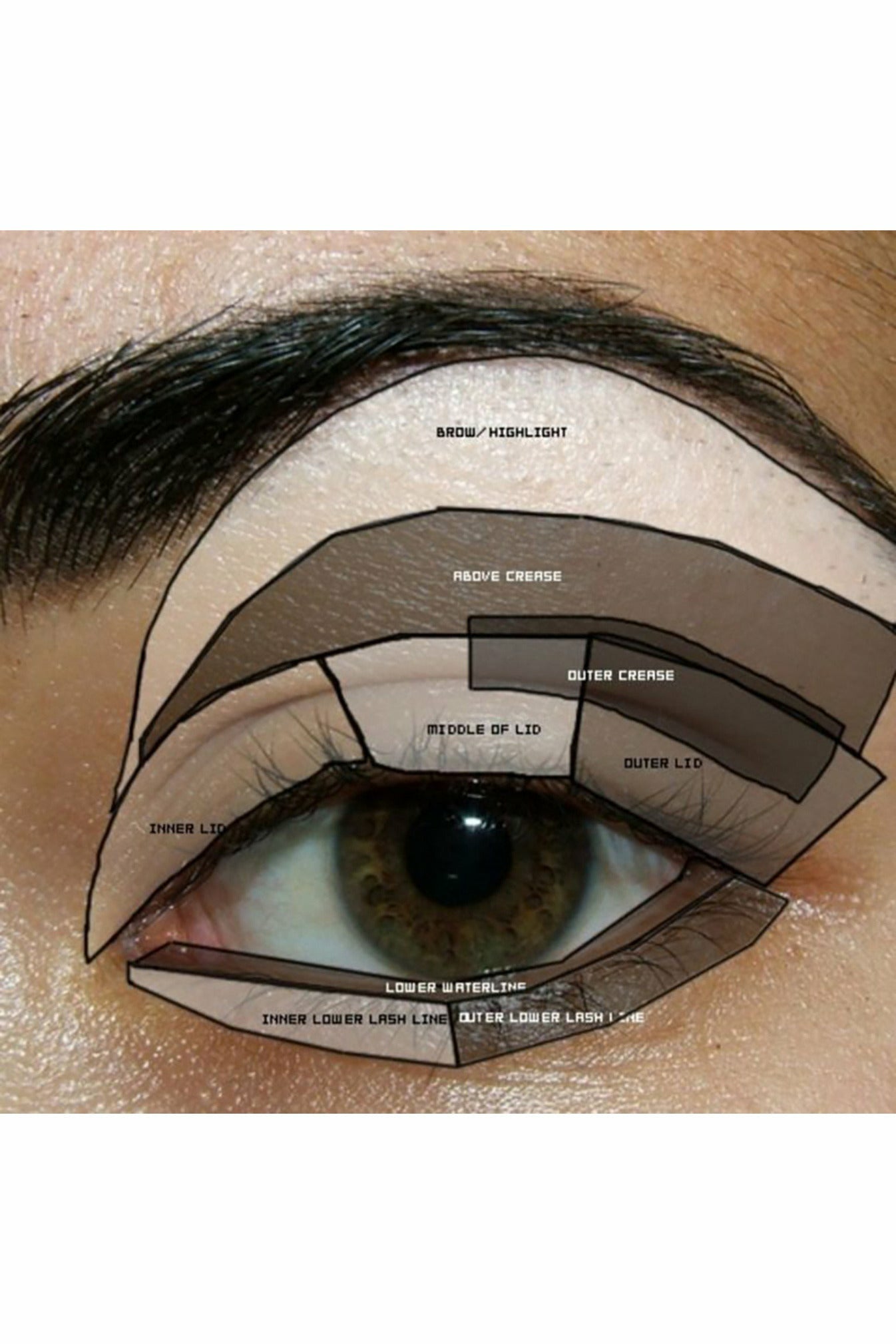 Quad Eyeshadow - Nuetral Lola Make up